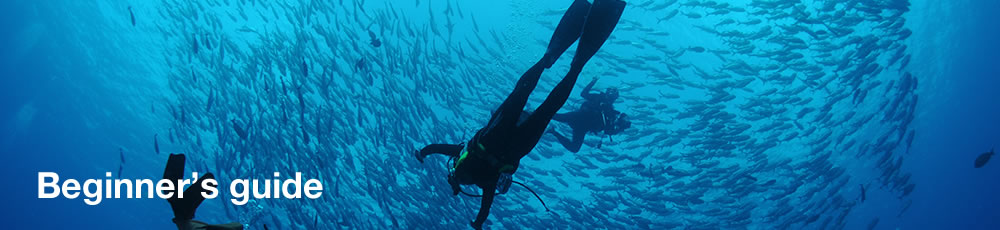 Beginner's guide