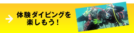 体験ダイビング