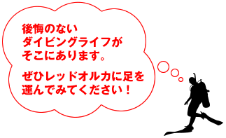 後悔のないダイビングライフがそこにあります。ぜひレッドオルカに足を運んでみて下さい!