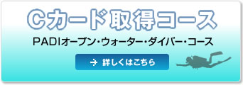 Cカード取得キャンペーン PADIオープン・ウォーター・ダイバー・コース