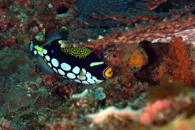 �����K���J���n�M