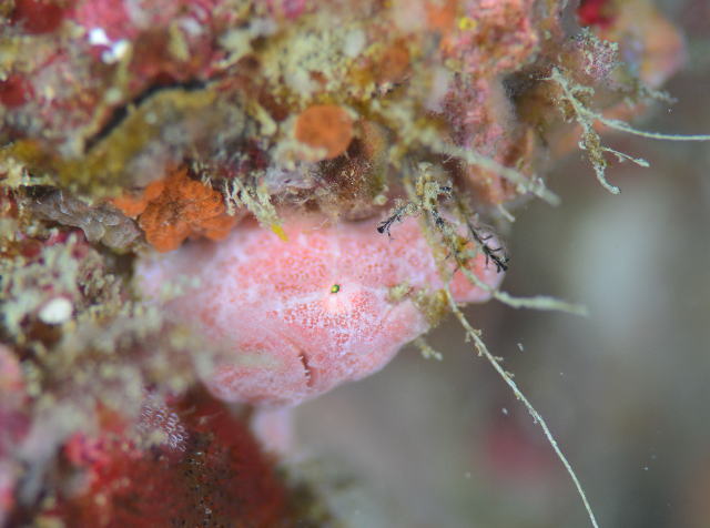 �I�I�����J�G���A���R�E