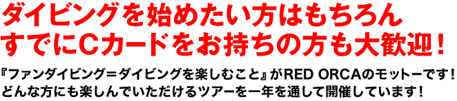 ダイビングを始めたい方はもちろんすでにCカードをお持ちの方も大歓迎！
『ファンダイビング＝ダイビングを楽しむこと』がRED ORCAのモットーです！
どんな方にも楽しんでいただけるツアーを一年を通して開催しています！