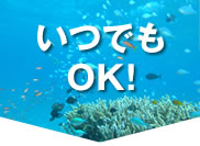 いつでもOK!