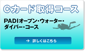 Cカード取得コース PADIオープン・ウォーター・ダイバー・コース