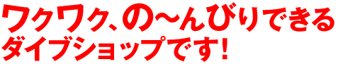 ワクワク、の〜びりできるダイブショップです！